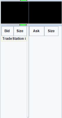 Blank Level 2 Market Depth window