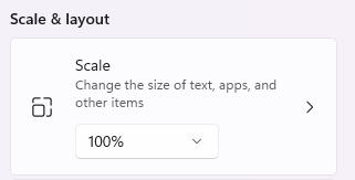Windows display scale set to 100%